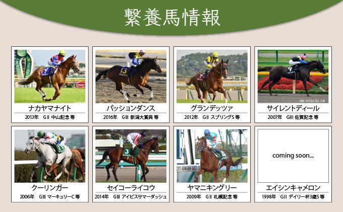 【引退競走馬 余生支援】北海道 岩内町 ホーストラスト北海道支援 1万円コース 引退馬 F21H-556