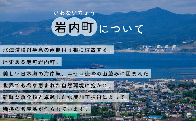 【旧国鉄岩内線岩内駅】駅名グッズ小物詰め合わせ F21H-527