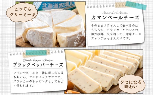 蛟牙ウカ荵ウ讌ュ繝√シ繧コ繝サ繝舌ち繝シ繧サ繝繝 F21H-430