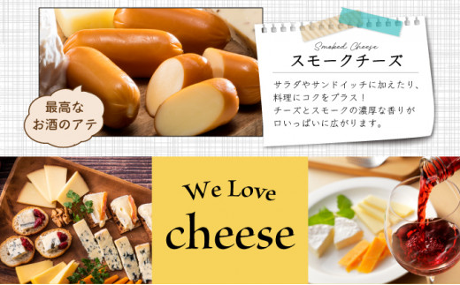 蛟牙ウカ荵ウ讌ュ繝√シ繧コ繝サ繝舌ち繝シ繧サ繝繝 F21H-430