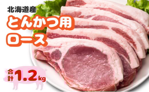 北海道産豚肉・とんかつ用ロース1.2kg（120g×10枚） F21H-429