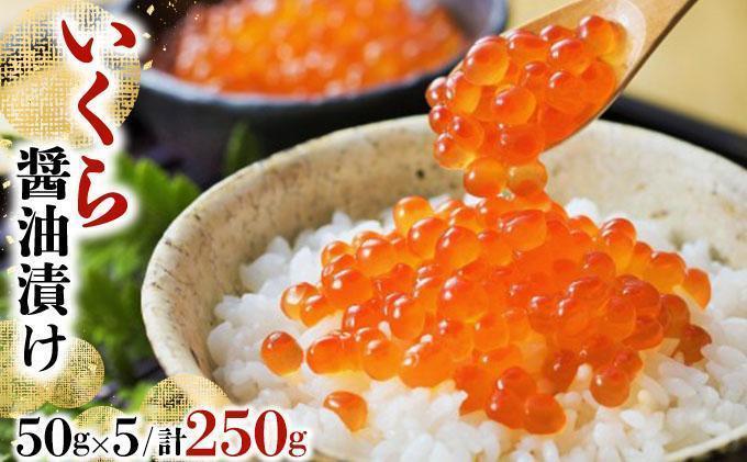 いくら醤油漬け 250g（50g×5）【2026年1月発送】いくら 海鮮 北海道 イクラ 冷凍 醤油漬け 海産物 045-a008-01