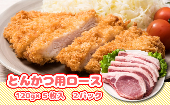 北海道産豚肉・とんかつ用ロース1.2kg（120g×10枚） F21H-429