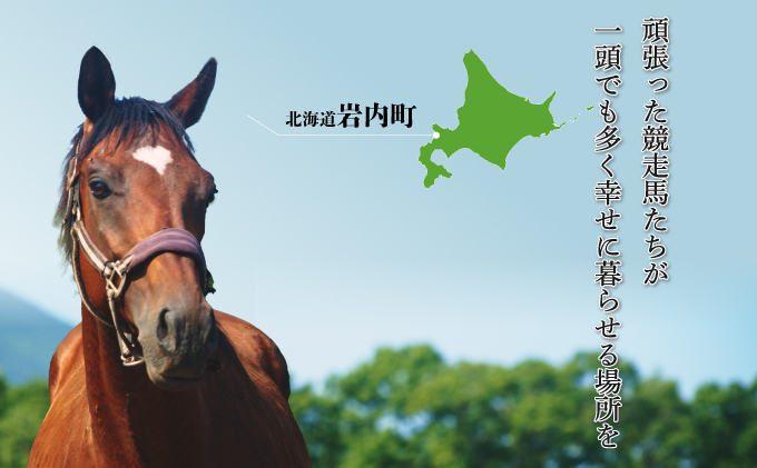 【引退競走馬 余生支援】北海道 岩内町 ホーストラスト北海道支援 2万円コース 引退馬 F21H-557