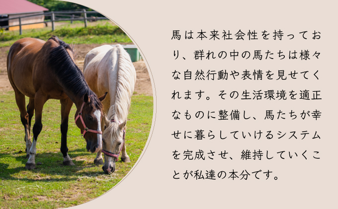 【引退競走馬 余生支援】北海道 岩内町 ホーストラスト北海道支援 100万円コース 引退馬 F21H-561