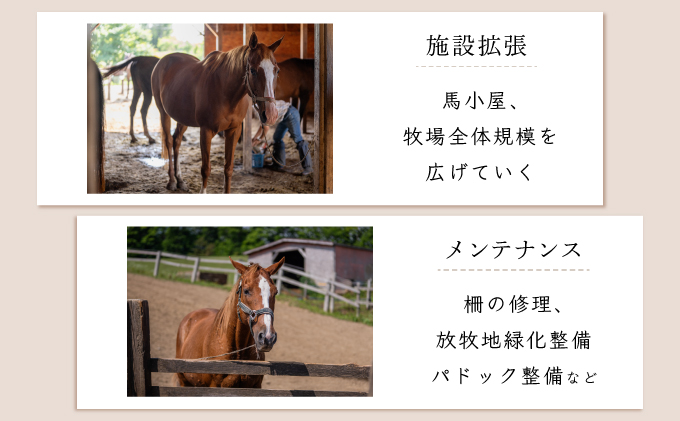 【引退競走馬 余生支援】北海道 岩内町 ホーストラスト北海道支援 300万円コース 引退馬 F21H-570