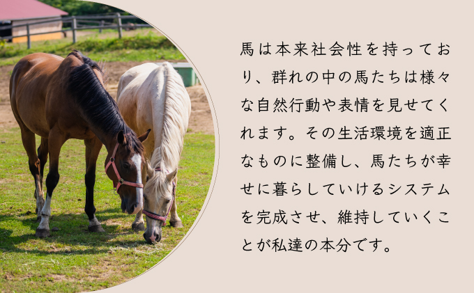 【引退競走馬 余生支援】北海道 岩内町 ホーストラスト北海道支援 1000万円コース 引退馬 