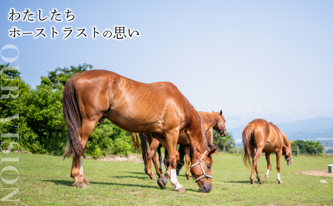 【引退競走馬 余生支援】北海道 岩内町 ホーストラスト北海道支援 1000円コース 引退馬 F21H-569