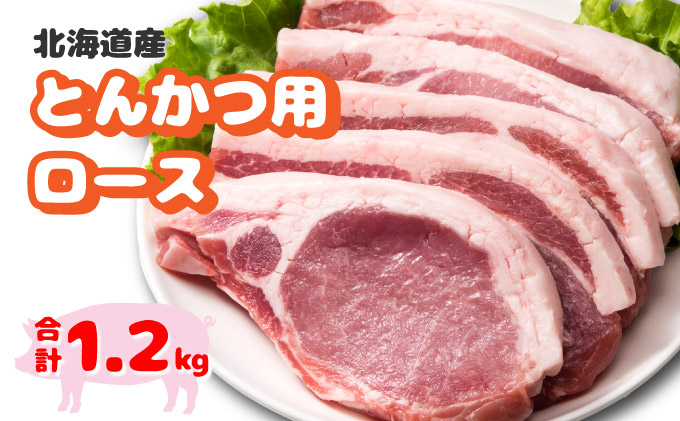 北海道産豚肉・とんかつ用ロース1.2kg（120g×10枚） F21H-429