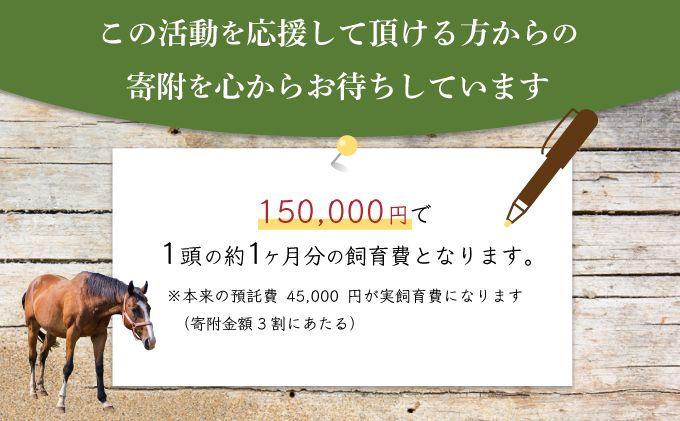 【引退競走馬 余生支援】北海道 岩内町 ホーストラスト北海道支援 300万円コース 引退馬 F21H-570