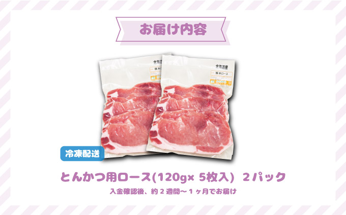 北海道産豚肉・とんかつ用ロース1.2kg（120g×10枚） F21H-429