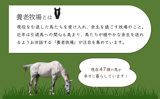 【引退競走馬 余生支援】北海道 岩内町 ホーストラスト北海道支援 5万円コース 引退馬 F21H-558