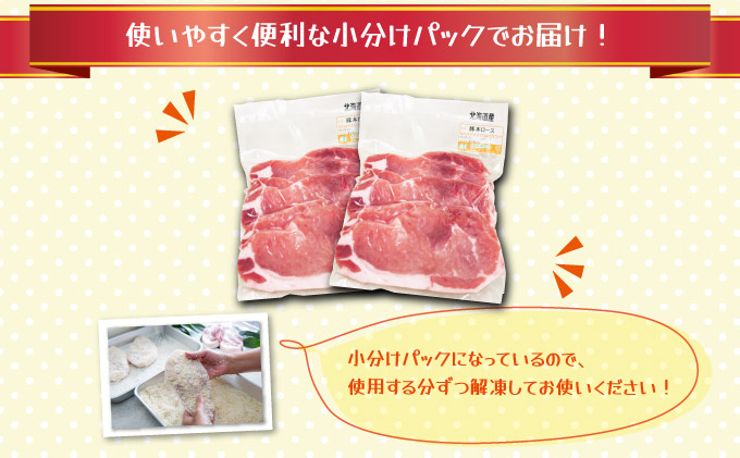 北海道産豚肉・とんかつ用ロース1.2kg（120g×10枚） F21H-429