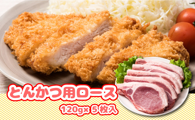 北海道産豚肉・とんかつ用ロース＆肩ロースすき焼き用セット F21H-436