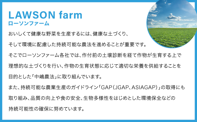 ローソンファーム北海道岩内セット（レトルトとうもろこし＆じゃがバタ―）トウモロコシ とうもろこし じゃがいも ジャガイモ ジャガバター 野菜 セット 詰め合わせ ローソン こだわり レトルト コーン 簡単調理 温めるだけ 一人暮らし F21H-415