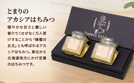 縲仙圏豬キ驕捺ウ頑搗縲代→縺セ繧翫ョ縲後い繧ォ繧キ繧「縺ッ縺。縺ソ縺、縲 2蛟九1586964縲