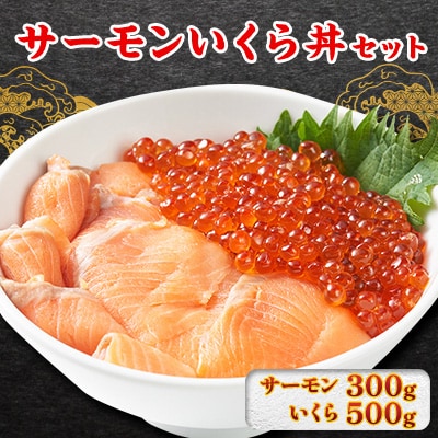 サーモンいくら丼(トラウトサーモンスライス、いくら醤油漬け)セット　各2パック【配送不可地域：離島】【1368184】