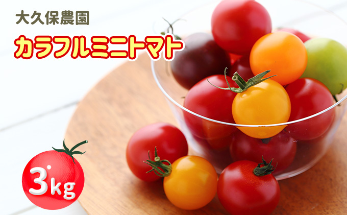 大久保農園の☆新鮮☆カラフルミニトマト詰合せ3kg