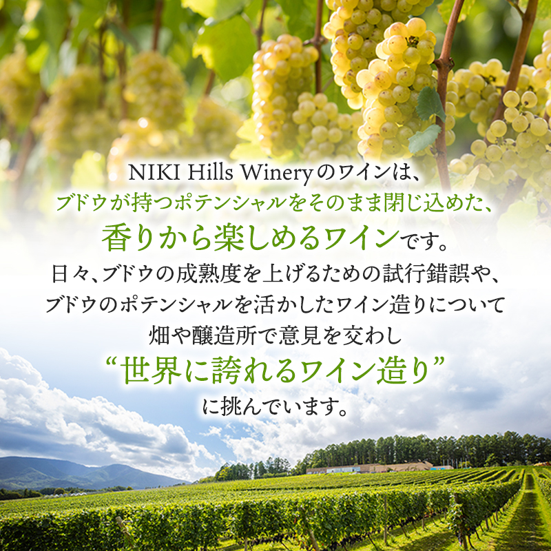 NIKI Hills Winery 白ワイン【 NEIRO 】 750ml