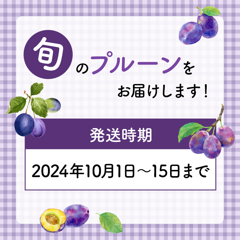 先行予約  峠のふもと紅果園  ◆2024年10月お届け◆北海道 仁木産 フレッシュ プルーン 約2kg 品種 おまかせ