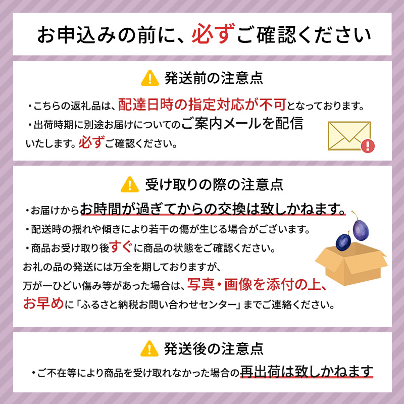 先行予約 ≪峠のふもと紅果園≫  8月お届け 北海道 仁木産 フレッシュ プルーン 約2kg  品種 おまかせ