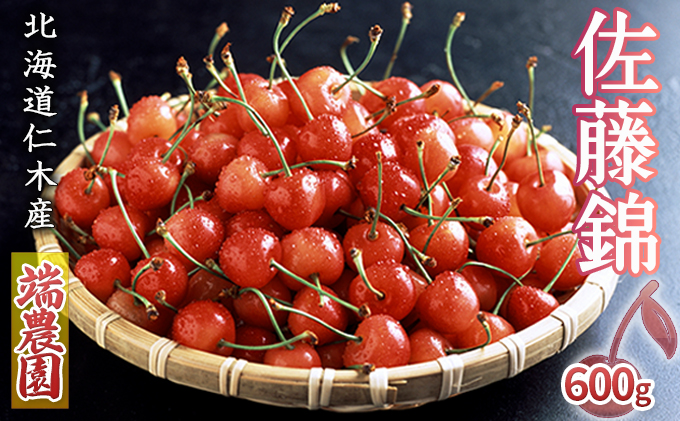 先行受付 北海道 仁木町産さくらんぼ 佐藤錦 600g（300g×2パック）北海道知事賞受賞農園 デザート スイーツおすすめ 美味しい サクランボ チェリー フルーツ 果物 果物類 仁木町 仁木 [端農園]