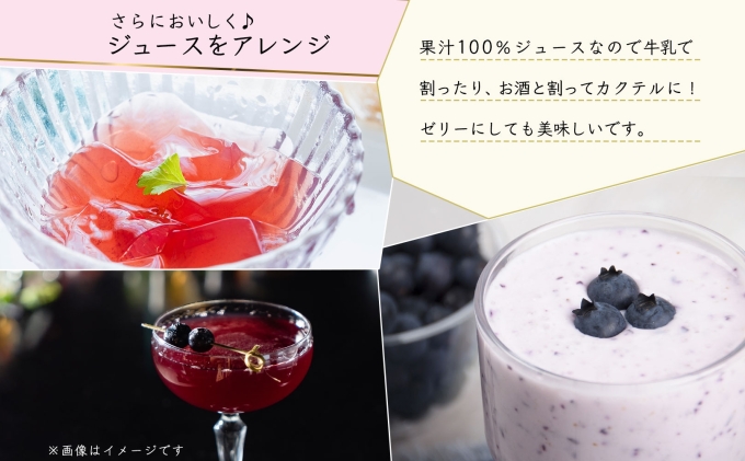 無地熨斗 オーガニック 有機 キャンベル ブルーベリー ジュース 飲み比べ 710ml 2本 群青の瞳 ぶどう 紺碧の恋 果汁 100％ お取り寄せ ギフト 熨斗 のし 北海道 仁木町