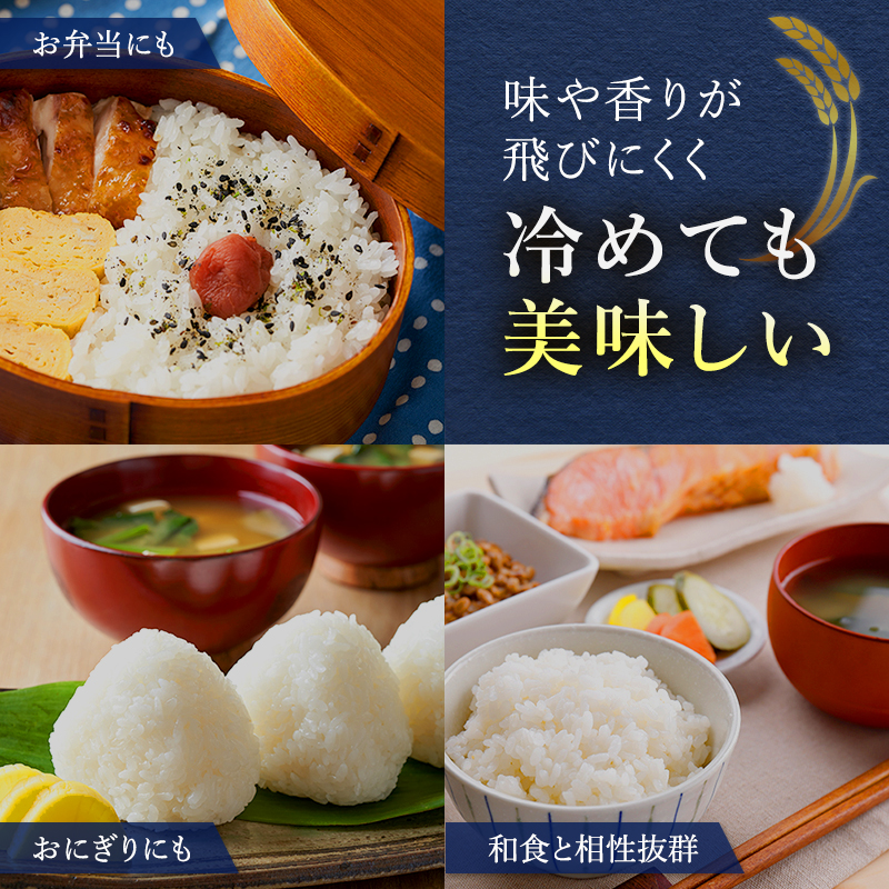 12ヵ月 定期便 銀山米研究会のお米＜ななつぼし＞5kg×1袋　ご飯 ライス 白米 和食 炭水化物 主食 おにぎり お弁当 銘柄米 ブランド米 産地直送 [株式会社 松原米穀]