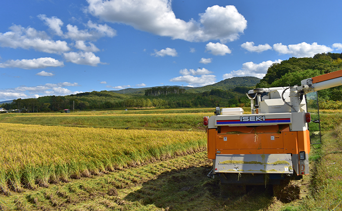 3ヵ月 定期便 銀山米研究会の無洗米＜ゆめぴりか＆ななつぼし＞セット 計10kg（各1袋×5kgずつ）ライス 白米 精米 ブランド米 おにぎり お弁当 北海道産 産地直送 ご飯 時短 朝ごはん 夜ごはん 昼ごはん [株式会社 松原米穀]