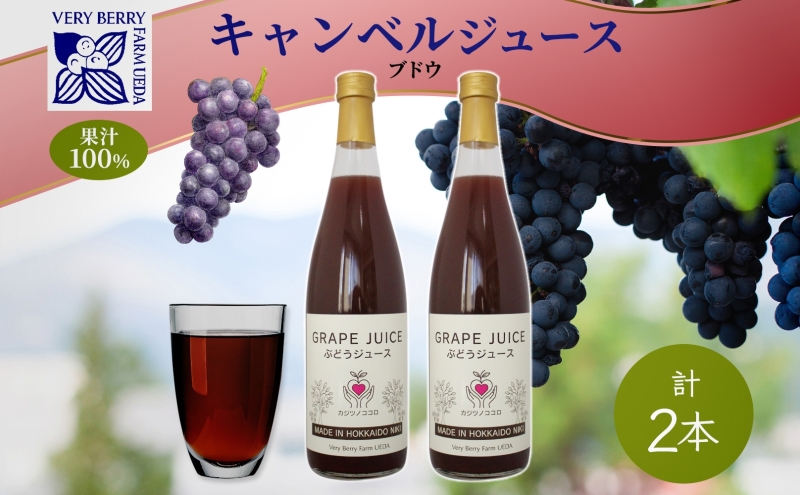 ぶどうジュース 710ml 2本 セット キャンベルアーリー 葡萄 果汁 100％ お取り寄せ ギフト 新鮮 北海道 仁木町