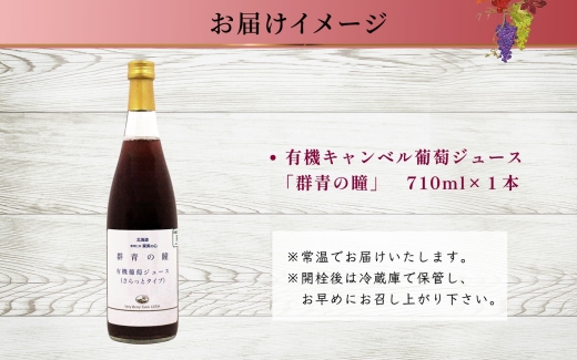 オーガニック 有機 キャンベル ブドウ ジュース 710ml 1本 セット 群青の瞳 ぶどう 果汁 100％ お取り寄せ ギフト セット 新鮮 果汁100％ 北海道 仁木町