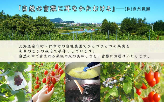 北海道産 リンゴ コンフィチュール ジャム コンポート 計3個 アソート セット自然農園 お取り寄せ ギフト 産地直送 北海道 仁木町