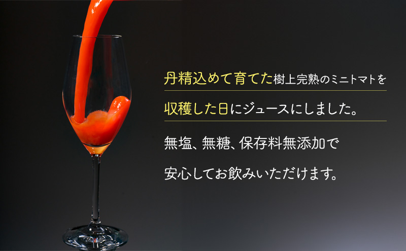 先行受付【2026年産】ミニトマト ジュース (北海道 仁木町産 ミニトマト[エコスイート]100%) 1L×12本 無塩・無糖・保存料無添加【栽培期間中 農薬・化学肥料不使用 】 野菜飲料 ジュース トマト [Farm Watanabe]