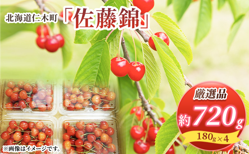 先行受付 北海道 仁木町産 さくらんぼ 佐藤錦 720g (180g×4パック) Lサイズ以上  旬 桜桃 産地直送 サクランボ チェリー フルーツ 果物 果物類 仁木町 仁木 [松山商店]