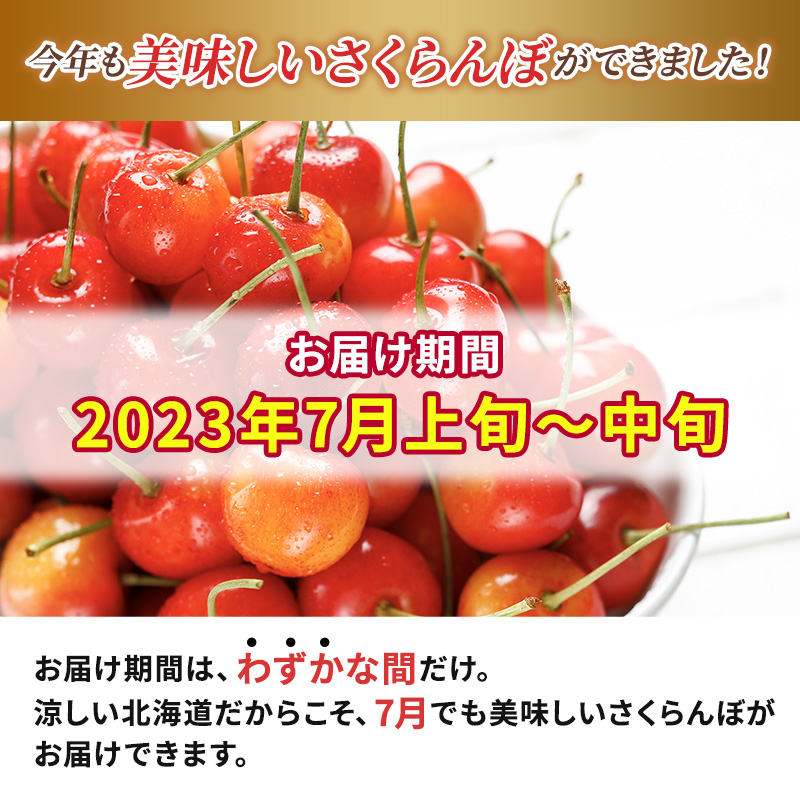  先行予約  北海道 仁木町産 厳選品 サクランボ 佐藤錦  800g （200g×4） Lサイズ以上  松山商店