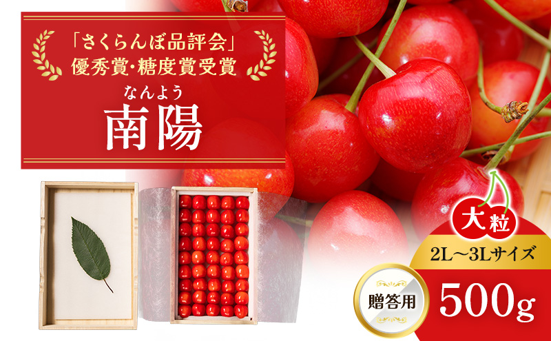先行受付 北海道 仁木町産 贈答用 さくらんぼ 【 南陽 】 桐箱入 2L～3Lサイズ 500g 果物類 フルーツ チェリー サクランボ  [嶋田茂農園匠]