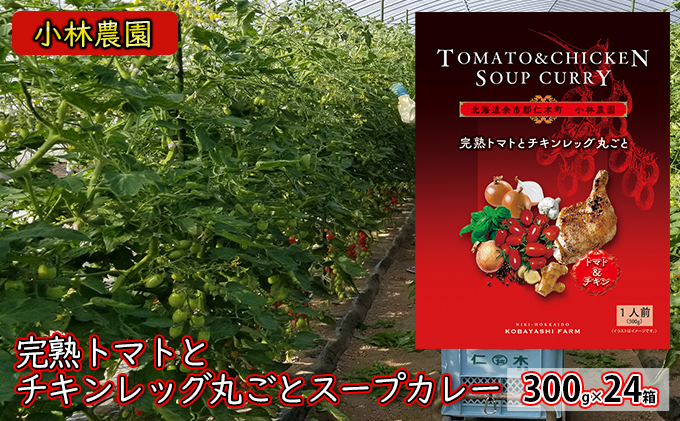 24箱 小林農園 完熟トマト チキンレッグ 丸ごと スープカレー 300g 北海道 仁木町