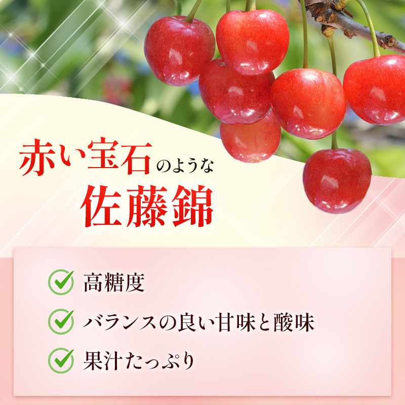 北海道 仁木町産　さくらんぼ 佐藤錦 1kg（500g×2）Lサイズ以上　サクランボ