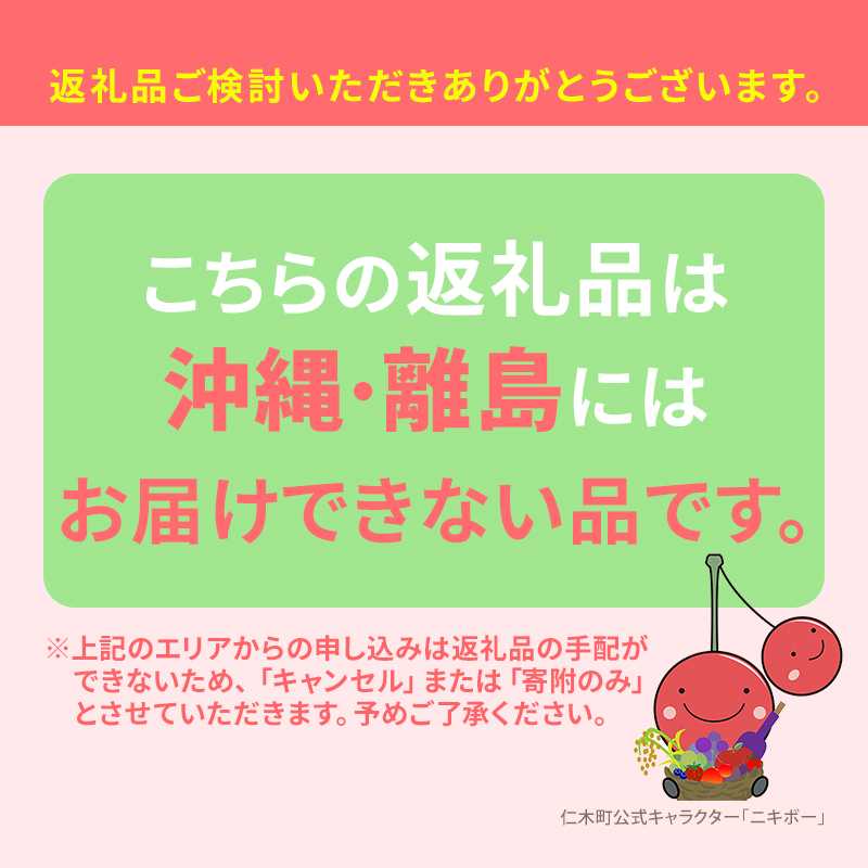 数量限定 北海道 仁木町産 果肉がプリ しっかり大粒 甘い さくらんぼ 紅秀峰 600g 鶴田農園