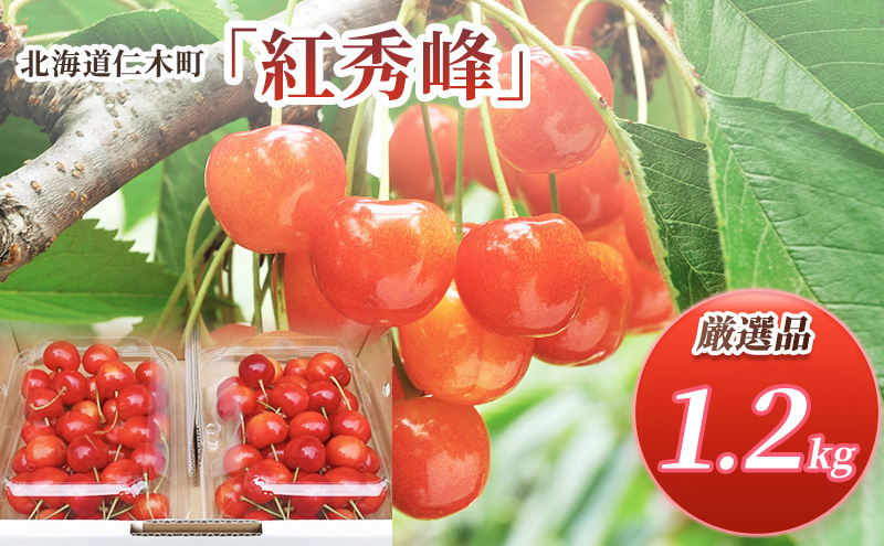 先行受付 北海道 仁木町産 さくらんぼ 紅秀峰 1.2kg (300g×4パック) L-Mサイズ 混合　旬 桜桃 産地直送 サクランボ チェリー フルーツ 果物 果物類  仁木町 仁木 [松山商店]