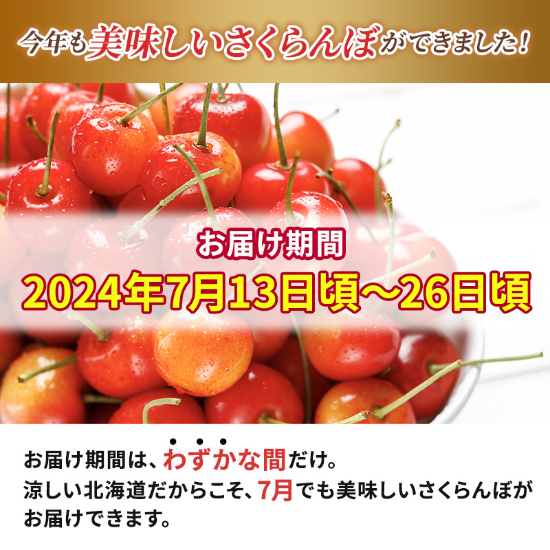先行受付2024年7月から出荷 北海道 仁木町産 サクランボ 紅秀峰 1.2kg L-Mサイズ  松山商店