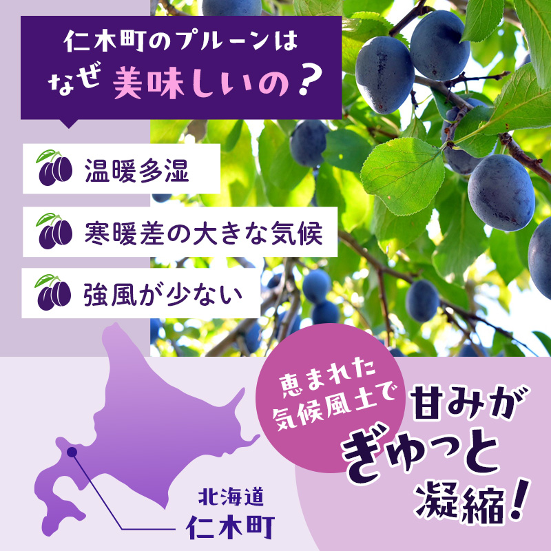 [先行受付/2025年] 仁木町の採れたて「サンプルーン」1kg［妹尾観光農園］【 北海道 仁木 果物 フルーツ プルーン 】