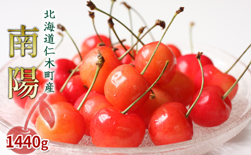 先行受付 北海道 仁木町産 さくらんぼ 南陽 1440g（180g×8パック）旬 厳選 蓋つき お裾分け おすすめ 美味しい  サクランボ チェリー フルーツ 果物 果物類  仁木町 仁木 [JA新おたる]