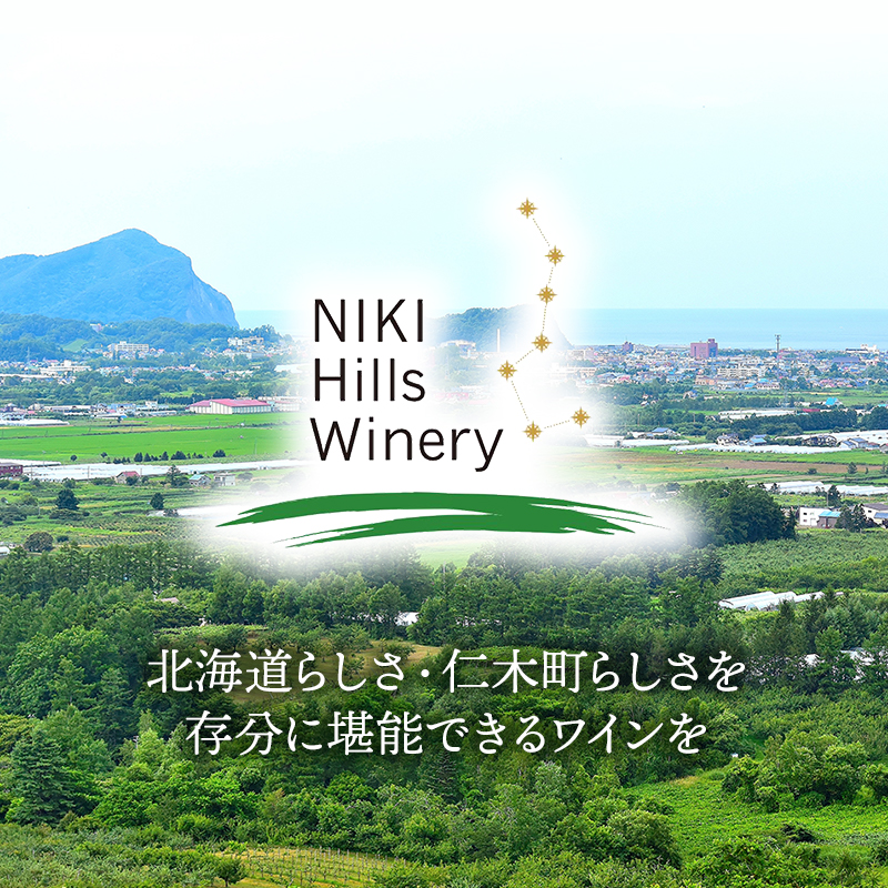 NIKI Hills Winery 白ワイン 【 はつゆき LATE HARVEST BARREL 2021 】375ml ハーフサイズボトル  洋酒 お酒 アルコール ブドウ ぶどう 甘口 [株式会社NIKI Hillsヴィレッジ]