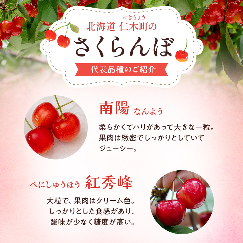 先行受付 北海道 仁木町産 ジャンボサイズ さくらんぼ 【 紅秀峰 】2Lサイズ以上 300g×2パック 計600g 　サクランボ チェリー フルーツ 果物 果物類  仁木町 仁木 [嶋田茂農園匠]
