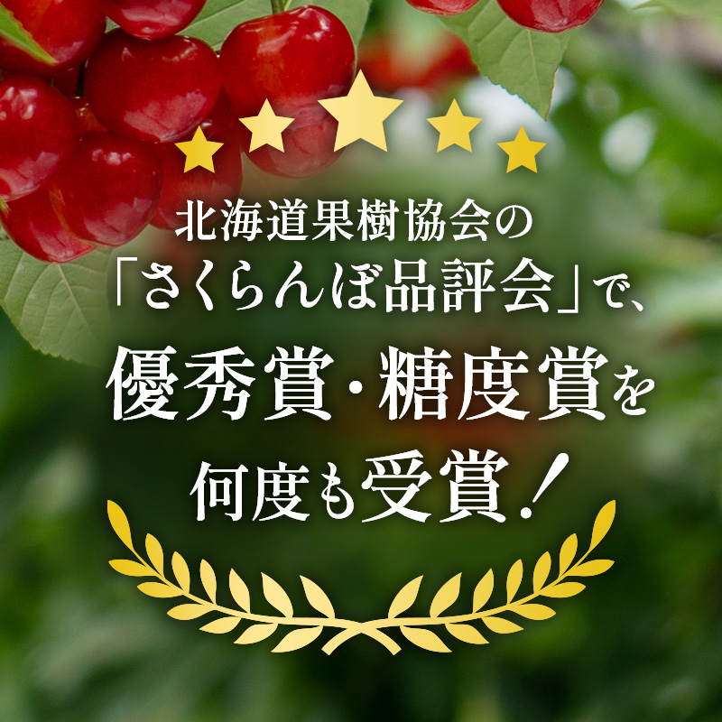 先行受付 北海道 仁木町産 ジャンボサイズ さくらんぼ 【 紅秀峰 】2Lサイズ以上 300g×2パック 計600g 　サクランボ チェリー フルーツ 果物 果物類  仁木町 仁木 [嶋田茂農園匠]