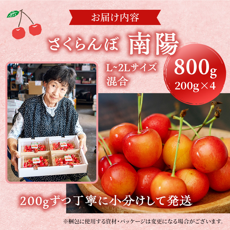 先行受付 さくらんぼ【 南陽 】800g（200g×4）L-LLサイズ混合  サクランボ チェリー フルーツ 果物 果物類 ギフト 北海道 仁木町 仁木 [横山農園]