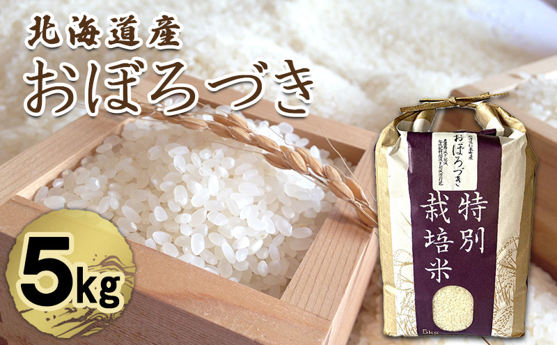 北海道 仁木町産 特別栽培米 おぼろづき 5kg 米