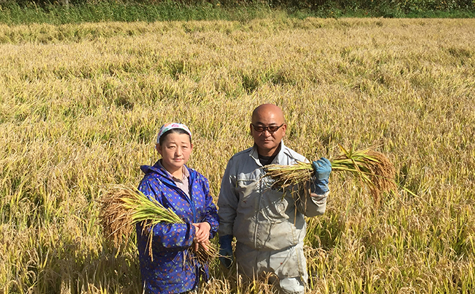 北海道 仁木町産  ゆめぴりか 5kg 米 紅果園の産直米