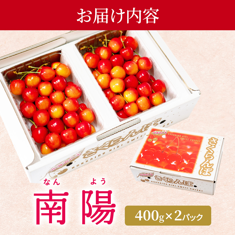 先行受付 北海道 仁木町産 さくらんぼ 南陽 400g×2P Lサイズ  サクランボ チェリー フルーツ 果物 果物類 仁木町 仁木 [林果樹園]